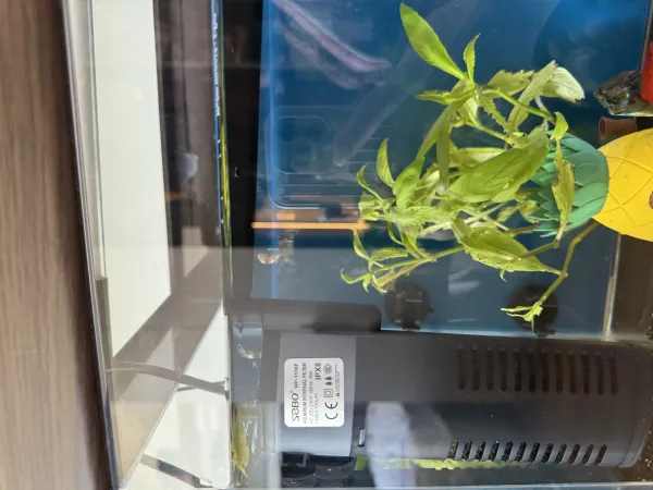 Dc marka akvaryum  50 lt 3