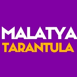 Malatya Tarantula