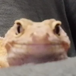 Görkem