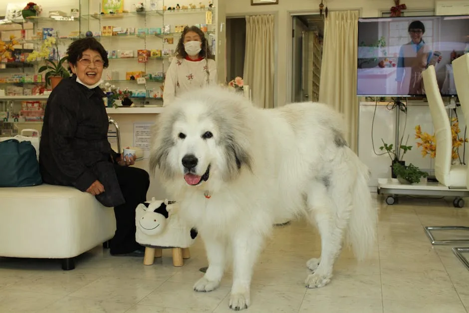 Egzotik Hayvan Veterineri Nasıl Bulunur?