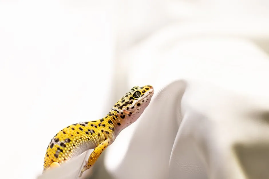 Leopar Gecko: Sahiplenmeden Önce Bilmeniz Gerekenler