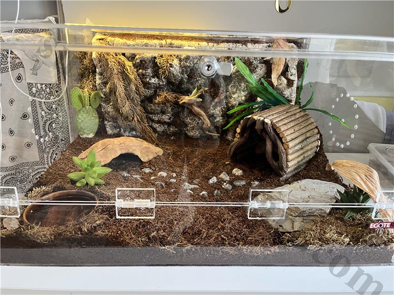 GECKOLAR İÇİN HAZIR TERARYUM
